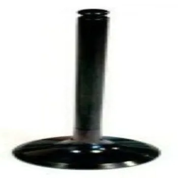 29807.jpg