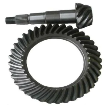 coroa_e_pinhao_6.jpg