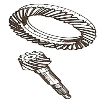file_125.jpg