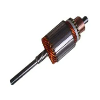 induzido_do_motor_de_arranque_javali_1.JPG