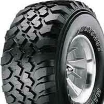 Pneu_buckshot_maxxis.jpeg