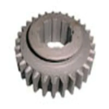 4864.jpg
