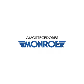 amortecedor_monroe_3.jpg