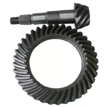 coroa_e_pinhao_5.jpg