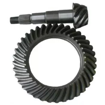 coroa_e_pinhao_6.jpg