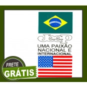 ADESIVO brasil usa (75)