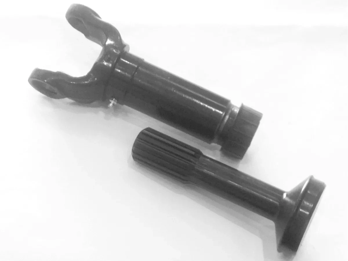 Frete Grátis — Tempo Limitado