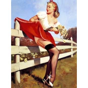 Quadros Decorativos Retro (Imagens Retro) - Pin-Up Campo -  Ref:  7003/SA 