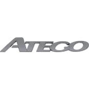 EMBLEMA ATEGO CROMADO INJ