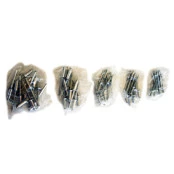 Cartela Rebites / Kit com 60 Rebites - Ref : 243/SA 