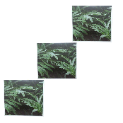 Conjunto com 3 quadros decorativos com moldura branca  e vidro
