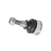Pivô de Suspensão Dianteiro-Hyundai Accent 95 à 06 - Coupé 04 à 11