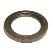 Arruela Encosto Posterior Engrenagem 1ª F-1000 92/96 A/C/D-20 92/96 S-10  Blazer 4x2 3343784