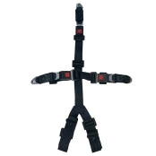 Cinto Competição 5 Pontas Preto Marca Seat Belt NH Importado
