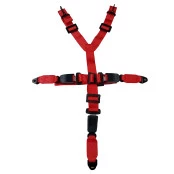Cinto Competição 5 Pontas Vermelho Marca Seat Belt NH Importado