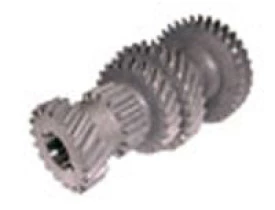 3816.jpg