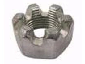 patral_4853.JPG