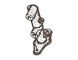 Javali_Cilindro_mestre_35.jpg