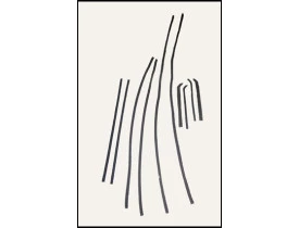 7480.jpg