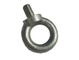 file_153.JPG