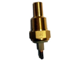 cebolinha_sensor_de_temp.rosca_17mm_1.JPG