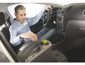 i_intro_thermocoolers_car_1.jpg