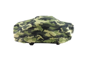 capa_4.jpg
