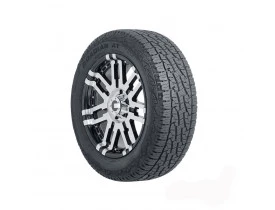 pneu-roadstone-roatpro-nexen-pneu1-1-recovered22.jpg