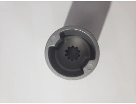 f4_1_1_.jpg