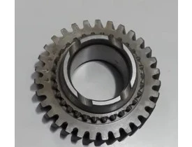 9555.jpg