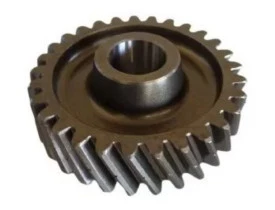5595.jpg