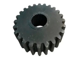 5534.jpg
