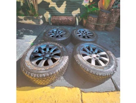 rodas2.jpg