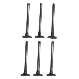 Válvula de Admissão P/ Jeep Willys 6cc (Todos) - Jg. com 6 peças