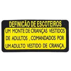 ADESIVO definição de escoteiros (230)