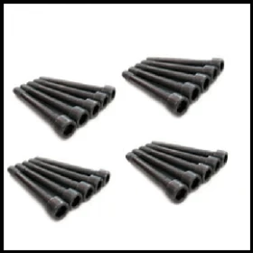 Parafuso de Fixação do Cabeçote L-200 GL /GLS / L-200 Sport (par)