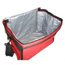Ref : 6077/SA  Bolsa Termica 18 latas