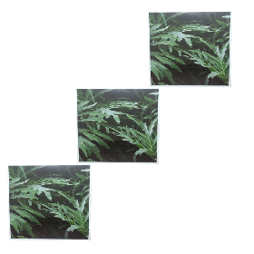 Conjunto com 3 quadros decorativos com moldura branca  e vidro
