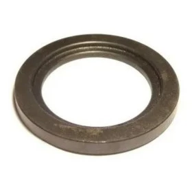 Arruela Encosto Engrenagem 1ª F-1000 92/96 A/C/D-20 92/96 3343783