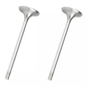 Valvula de Escape 4p para Toyota Motor 14B