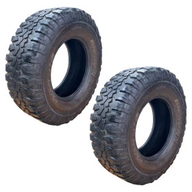 Jogo com 2 Pneus 305/70 R17 Big Horn 60% Vida Útil