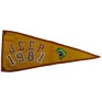 bandeira_para_jeep_1981.JPG