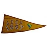 bandeira_para_jeep_1947.JPG