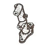 Javali_Cilindro_mestre_35.jpg