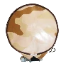 p1060863_1.png