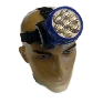 lant.png