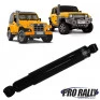 pro-rally-x1.jpg