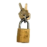 264.png