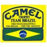 ADESIVOS_camel_trophy_bandeira_do_brasil.jpg